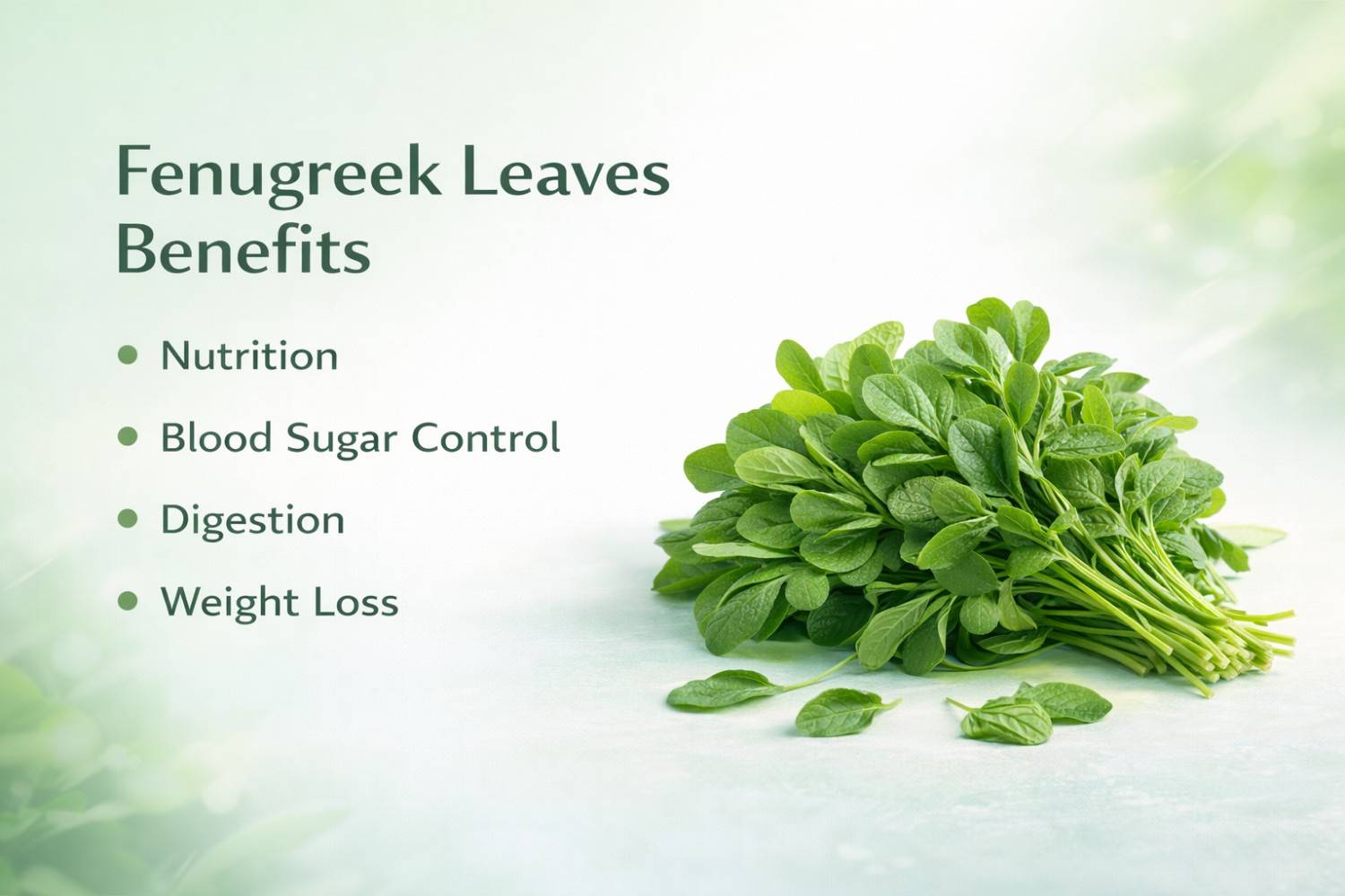 Fenugreek Leaves